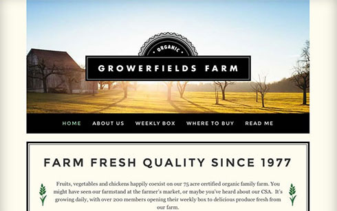 Website Builder Website Sample